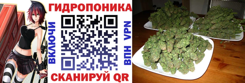 Где можно купить наркотики Долгопрудный Кетамин  Меф  АМФ  Канабис  ГАШ  КОКАИН 