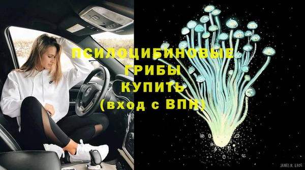 сатива Богородск