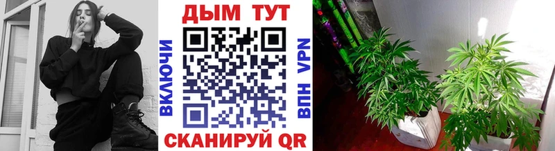 Бошки марихуана индика Долгопрудный